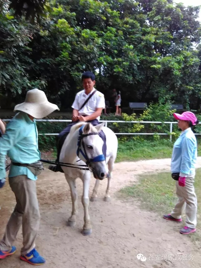 ���ҷ���׌��������á�2015��B�T�м�����(ji��)���(d��ng)��