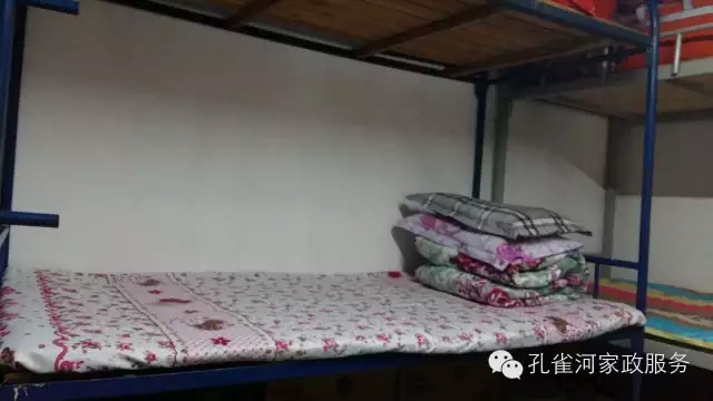 ��ȸ�Ӽ�����ķ������ů��ů��������