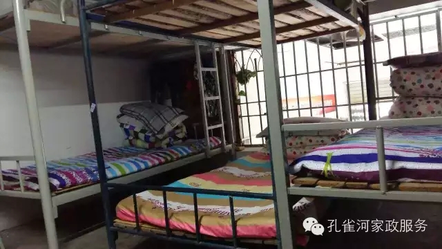 ��ȸ�Ӽ�����ķ������ů��ů��������