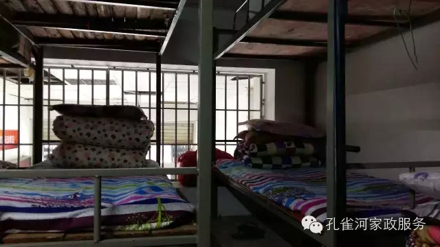 ��ȸ�Ӽ�����ķ������ů��ů��������