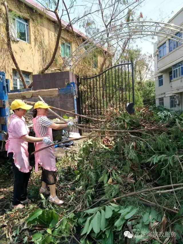 ��������y���������