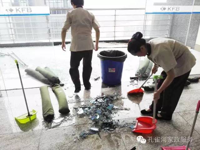 ��������y���������